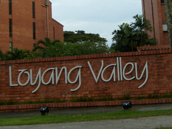 Loyang Valley (D17), Condominium #1076362